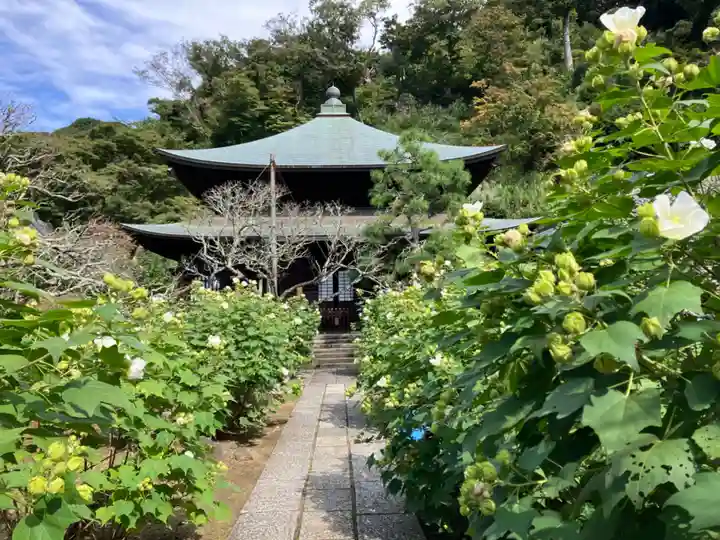 瑞泉寺(神奈川県)