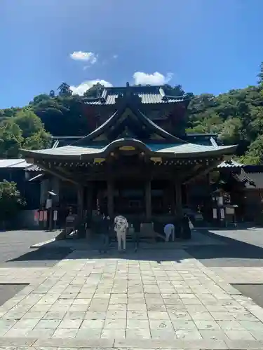 静岡浅間神社(静岡県)