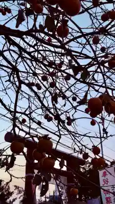 七重浜海津見神社(北海道)