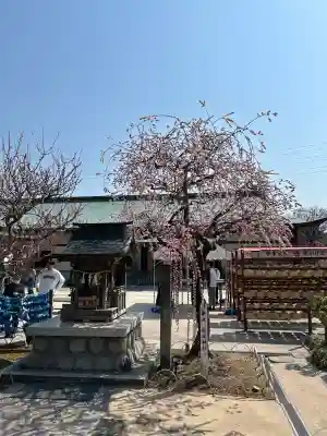 岩津天満宮の自然