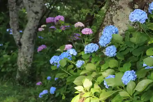 長屋神社の庭園