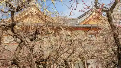 北野天満宮(京都府)