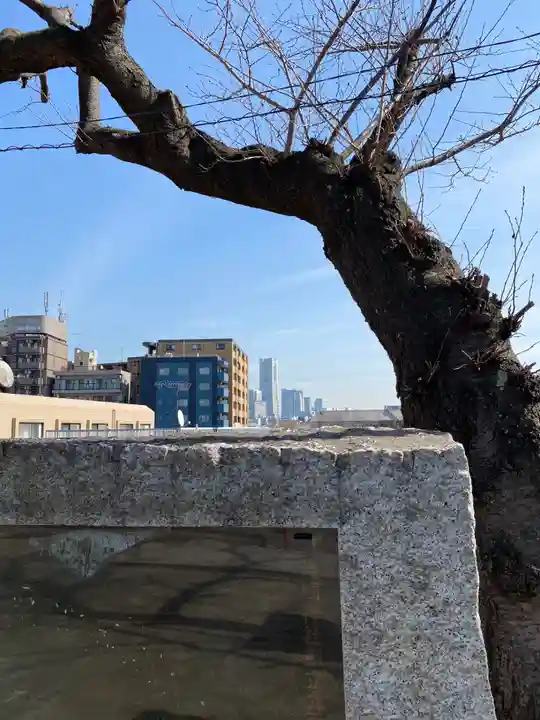 (芝生)浅間神社(神奈川県)