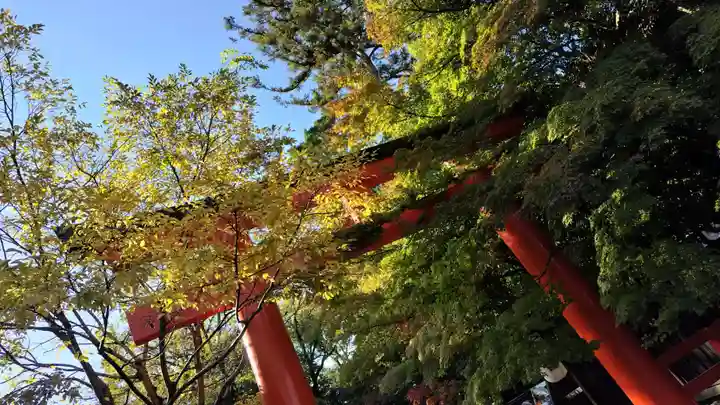 賀茂御祖神社(下鴨神社)の鳥居