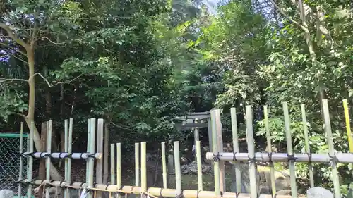木嶋坐天照御魂神社(京都府)
