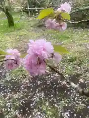 一心寺(大分県)