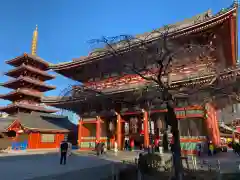 浅草寺(東京都)