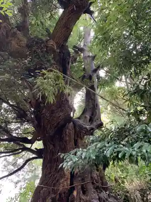 八幡神社(千葉県)