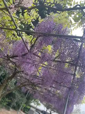 大生郷天満宮(茨城県)