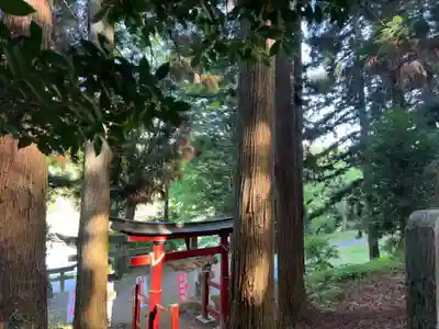 大宮温泉神社(栃木県)