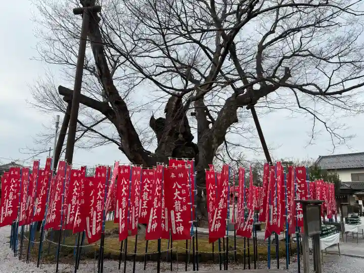 秩父今宮神社の{uncategorized: "未分類", other: "その他", undefined: "問題あり", building: "その他建物", grave: "お墓", sacred_gate: "鳥居", guardian: "狛犬", statue: "像", buddha: "仏像", history: "歴史", nature: "自然", garden: "庭園", animal: "動物", pagoda: "塔", temizu: "手水舎", mountain_gate: "山門・神門", sanctuary: "本殿・本堂", subordinate: "末社・摂社", art: "芸術", scenery: "景色", jizo: "地蔵", ema: "絵馬", goshuin: "御朱印", omikuji: "おみくじ", items: "授与品その他", amulet: "お守り", goshuincho: "御朱印帳", eats: "食事", festival: "お祭り", votive_dance: "神楽", shichigosan: "七五三参", wedding: "結婚式", experience: "体験その他", initially: "初詣", around: "周辺", anti_infection: "感染症対策"}