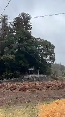 八幡神社(三重県)