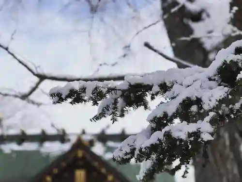 札幌諏訪神社の自然