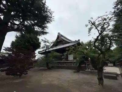 寛永寺(根本中堂)の{uncategorized: "未分類", other: "その他", undefined: "問題あり", building: "その他建物", grave: "お墓", sacred_gate: "鳥居", guardian: "狛犬", statue: "像", buddha: "仏像", history: "歴史", nature: "自然", garden: "庭園", animal: "動物", pagoda: "塔", temizu: "手水舎", mountain_gate: "山門・神門", sanctuary: "本殿・本堂", subordinate: "末社・摂社", art: "芸術", scenery: "景色", jizo: "地蔵", ema: "絵馬", goshuin: "御朱印", omikuji: "おみくじ", items: "授与品その他", amulet: "お守り", goshuincho: "御朱印帳", eats: "食事", festival: "お祭り", votive_dance: "神楽", shichigosan: "七五三参", wedding: "結婚式", experience: "体験その他", initially: "初詣", around: "周辺", anti_infection: "感染症対策"}
