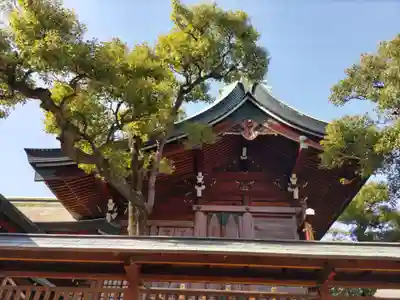 今宮戎神社の本殿・本堂