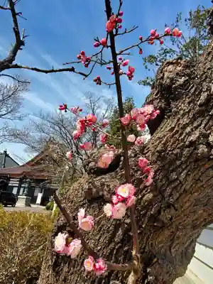 如宝寺(福島県)