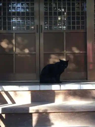 田丸稲荷神社の動物