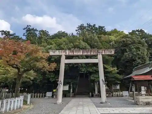 白山神社（二子町）の鳥居