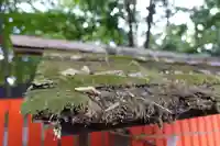 河合神社(鴨川合坐小社宅神社)の自然
