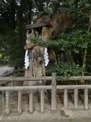 賀茂御祖神社（下鴨神社）の自然