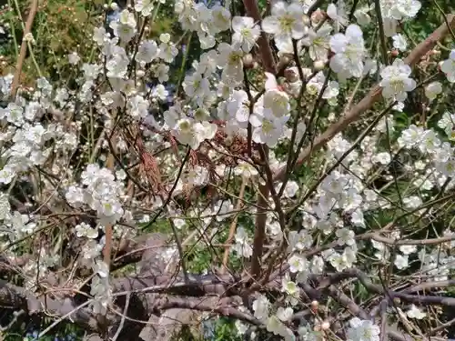 豊景神社(福島県)