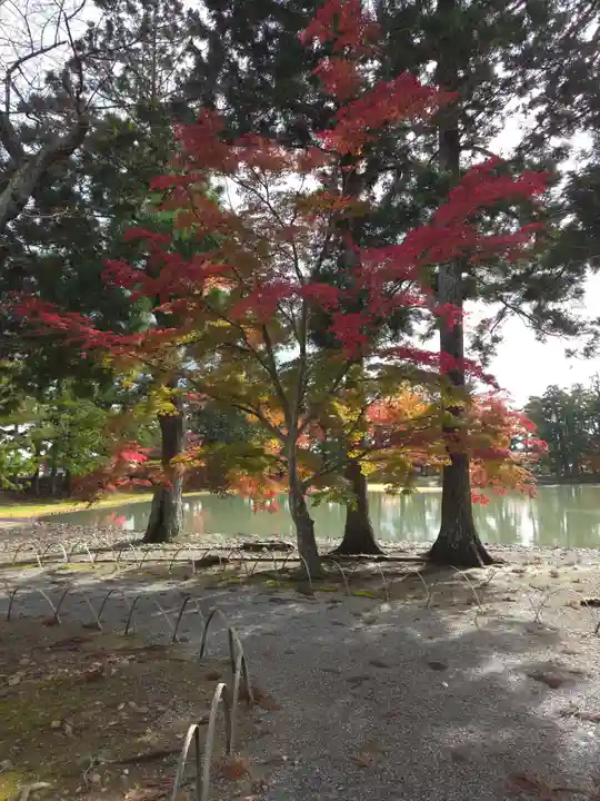毛越寺の御朱印