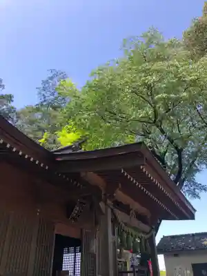 糀谷八幡宮の本殿・本堂