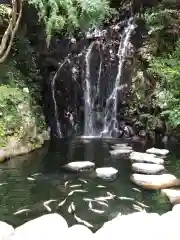 玉簾神社の自然