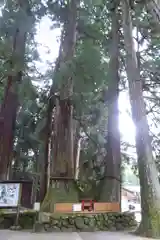 室生龍穴神社の自然