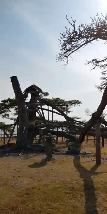 唐崎神社の庭園