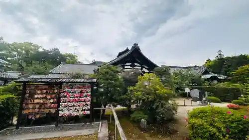 隨心院（随心院）(京都府)