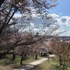 新得神社の自然