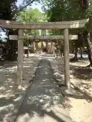 綿神社の鳥居