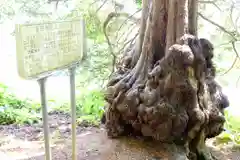 福島大神宮(北海道)