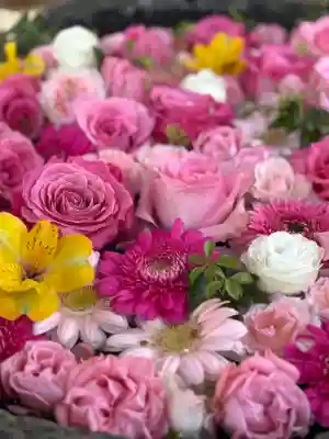 発寒神社(北海道)