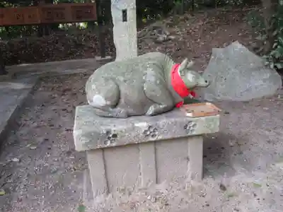 棚倉孫神社(京都府)