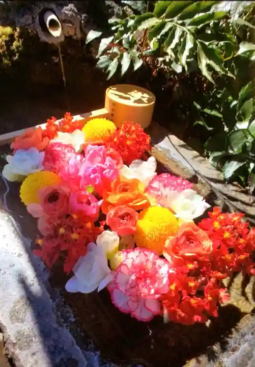 本郷氷川神社(東京都)