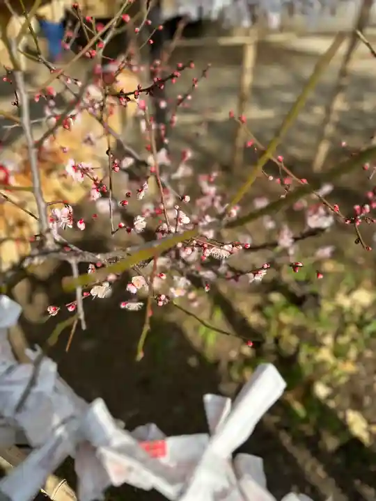五條天神社(東京都)