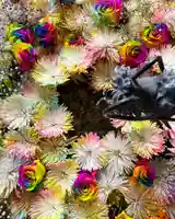 札幌諏訪神社の手水舎