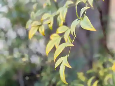 西方山極楽寺(岐阜県)