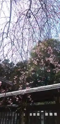 三ケ尻八幡神社の自然