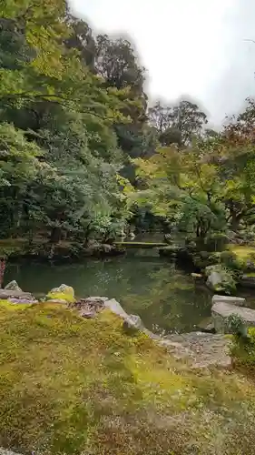 知恩院の庭園