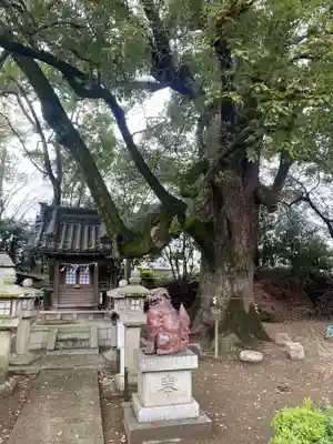 道明寺天満宮(大阪府)