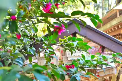 川越氷川神社(埼玉県)