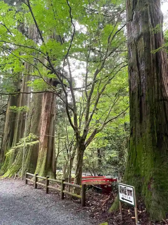 花園神社(茨城県)