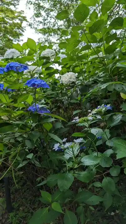 真正極楽寺(真如堂)(京都府)