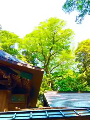 中村八幡宮(栃木県)