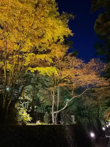 尊永寺(静岡県)