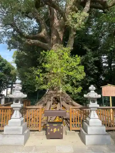 和泉國一之宮　大鳥大社(大阪府)