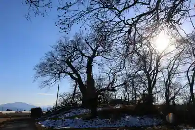 高瀬観音堂の自然